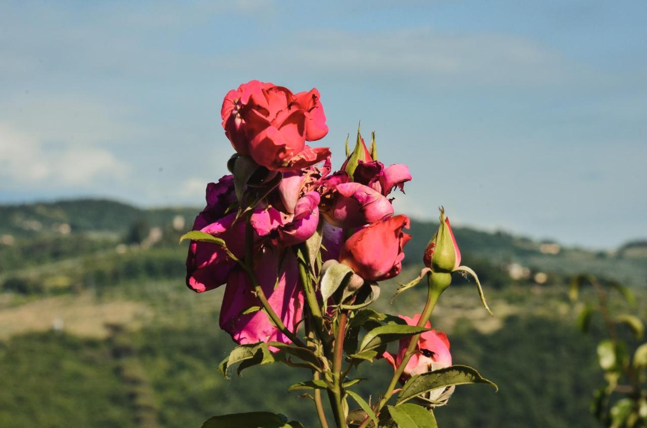 Appartamento A Villa Rosa Compiobbi 外观 照片